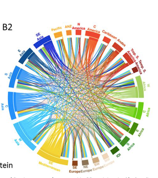 Illustration for article titled A Chart That Shows Where Every Country in the World Gets Its Food